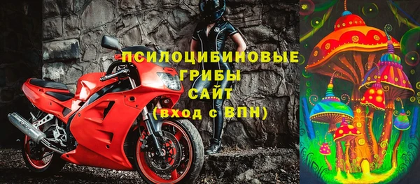 гашик Алзамай