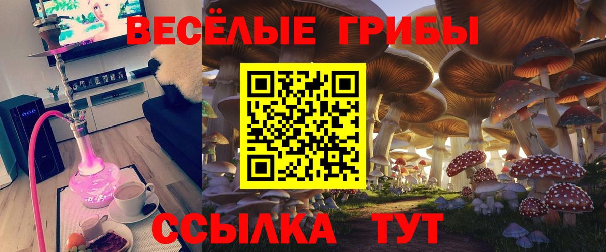 Галлюциногенные грибы Psilocybine cubensis Южно-Сахалинск
